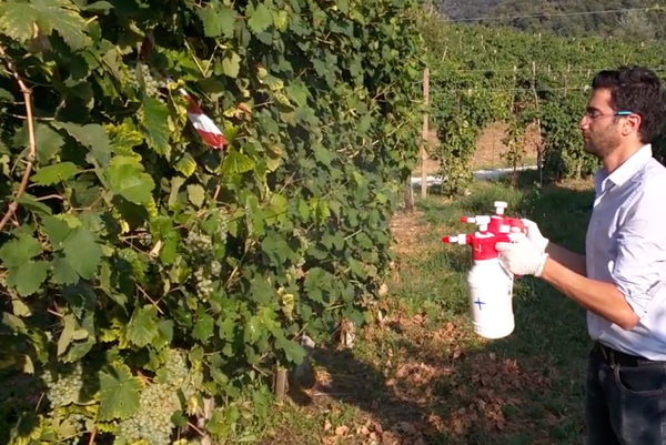 Man spraying crops with two spray bottles