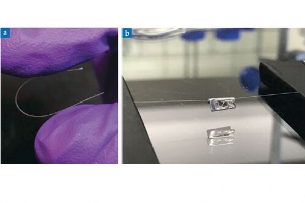 A close up of the macroscopic threads made of aligned nanoribbons.