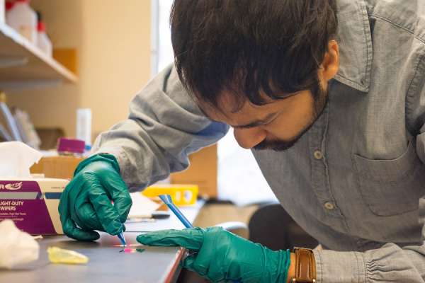 Photo of the top of Devashish Gokhale's head as he bends over a workbench 