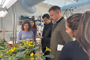 Colleagues from Community Jameel visit the lab of Mary Gehring who shows them a plant with a student in the background