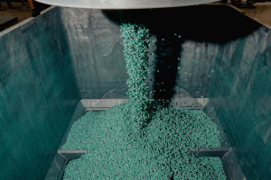 Thousands of aqua green seeds pour from a pipe into a large gray container.