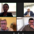 A screenshot of  Coletha Ruhamya, Majaliwa Mwanjalolo, Kim Geheb, and Greg Sixt on a Zoom webinar.